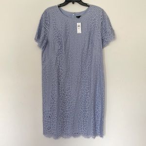 Ann Taylor Pale Blue Periwinkle Short Sleeve Lace Sheath Dress. Size 16 Tall